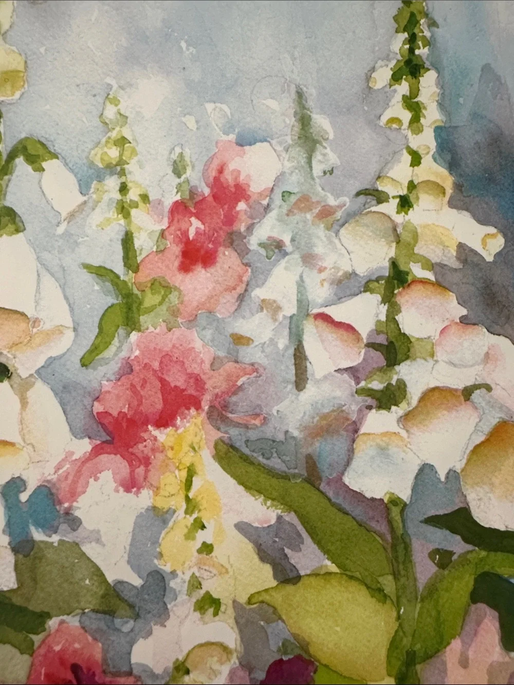 Judy Buswell set judy
